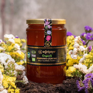 Organic Polyfloral (Wild Flowers) Honey - TurkishTaste.com
