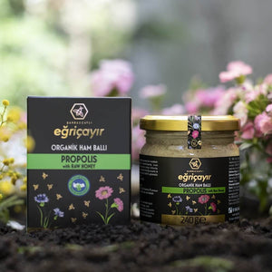 Organic Raw Honey and Propolis Mix - TurkishTaste.com